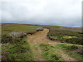SE6093 : Moorland track, East Moors by JThomas