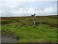 SE6096 : Moorland footpath by JThomas