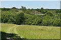 View towards Walkhurst Cottages