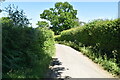 Lane to Mount Hall Farm