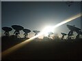 TL4054 : Barton Radio Telescopes in silhouette against a November sun by Chris Fletcher