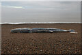 TG1043 : Dead Sperm Whale on beach at Weybourne by Hugh Venables