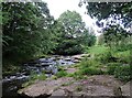 River Derwent at Shotley Grove