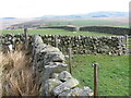 Farmland walls towards Whitecleuch