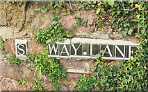 SX9063 : S Way Lane, Torquay by Derek Harper
