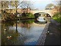 The Worcester and Birmingham Canal