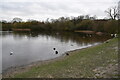 Shoulder of Mutton Pond, Wanstead Park