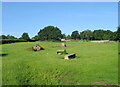 Grazing, Coulton Lane End