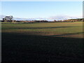 Field on the outskirts of Shifnal