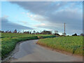 Road north towards Felmingham