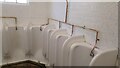 SK3516 : Urinals in the public conveniences, Ashby-de-la-Zouch by Oliver Mills