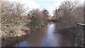 River Lugg, looking upstream