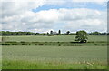 Cereal crop off the A19