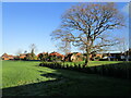 Footpath behind the houses, Bathley