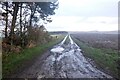 NT6024 : Road to Hopton (Roxburghshire) by Richard Webb