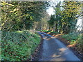 Looking up Obelisk Lane from Orchard House Entrance