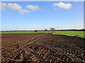 SK7759 : Flat fields near Bathley by Jonathan Thacker