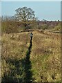 Path heading north west from Blyton Gate