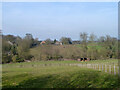 View from Nether Street, Widford