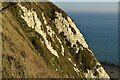 TR2638 : Chalk cliffs, The Warren by N Chadwick