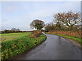 Looking down Mill Road towards North Walsham Road