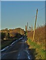 Track to Moorclose and Fig Tree Farms