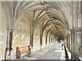 TG2308 : Norwich Cathedral - Cloister by Colin Smith