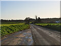 B1159 towards Stalham