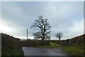 Field gate at bend in road on Hone Hill