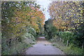 Footpath by the A20