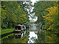 Canal near Wheaton Aston in Staffordshire