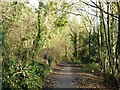 Midland Wood Cycle Route