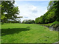 Grazing beside Town Street, Brandsby