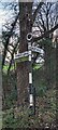 Direction Sign ? Signpost on Westwood Lane, West Tanfield