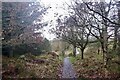 Gordon Community Woodland