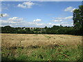 Oilseed rape and Folkingham housing