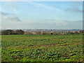 View towards eastern parts of Chelmsford