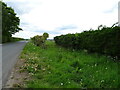 Field entrance off Crayke Lane