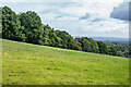 Above Folly Farm