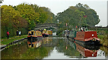SJ8512 : Canal east of Wheaton Aston in Staffordshire by Roger  D Kidd