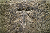 SE4048 : Cut Bench Mark, Wetherby Parish Church Gatepost by Mark Anderson
