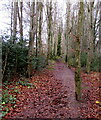 Public footpath west of Simonston Road, Bridgend