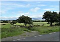 Field gate on Longedge Lane