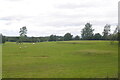 NN9814 : Former golf course, Whitemoss by Richard Webb