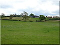 Grazing towards Rising Sun Farm