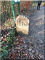 Old Boundary Marker in Elnup Wood