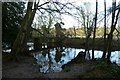 Bridge over the River Nidd