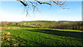 At Grindon - un-defined path which leads to Ladyside Wood