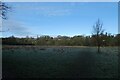 Fields near Conyngham Hall