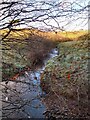 Shotts Burn at Craigens Road